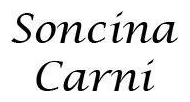 cropped-Logo-211w.png